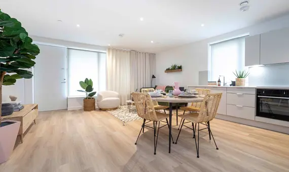 The Didsbury, East Ham, comfortable, light, open plan living and kitchen interior